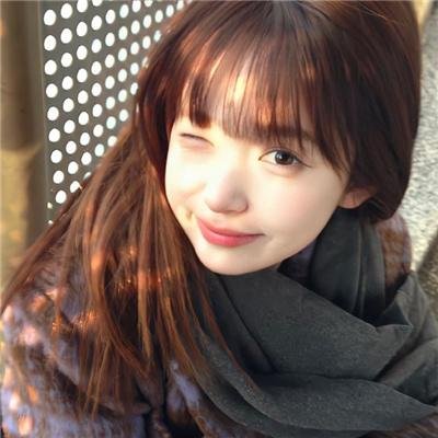 来自收容所的爱